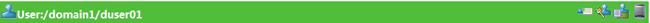 Username display bar