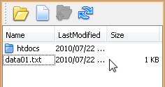 The contents of the home folder listed in the file pane
