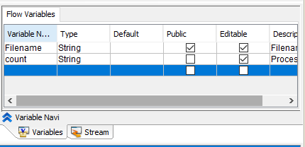 Properties of flow variables: name, type, default value, public access, editable, and description.